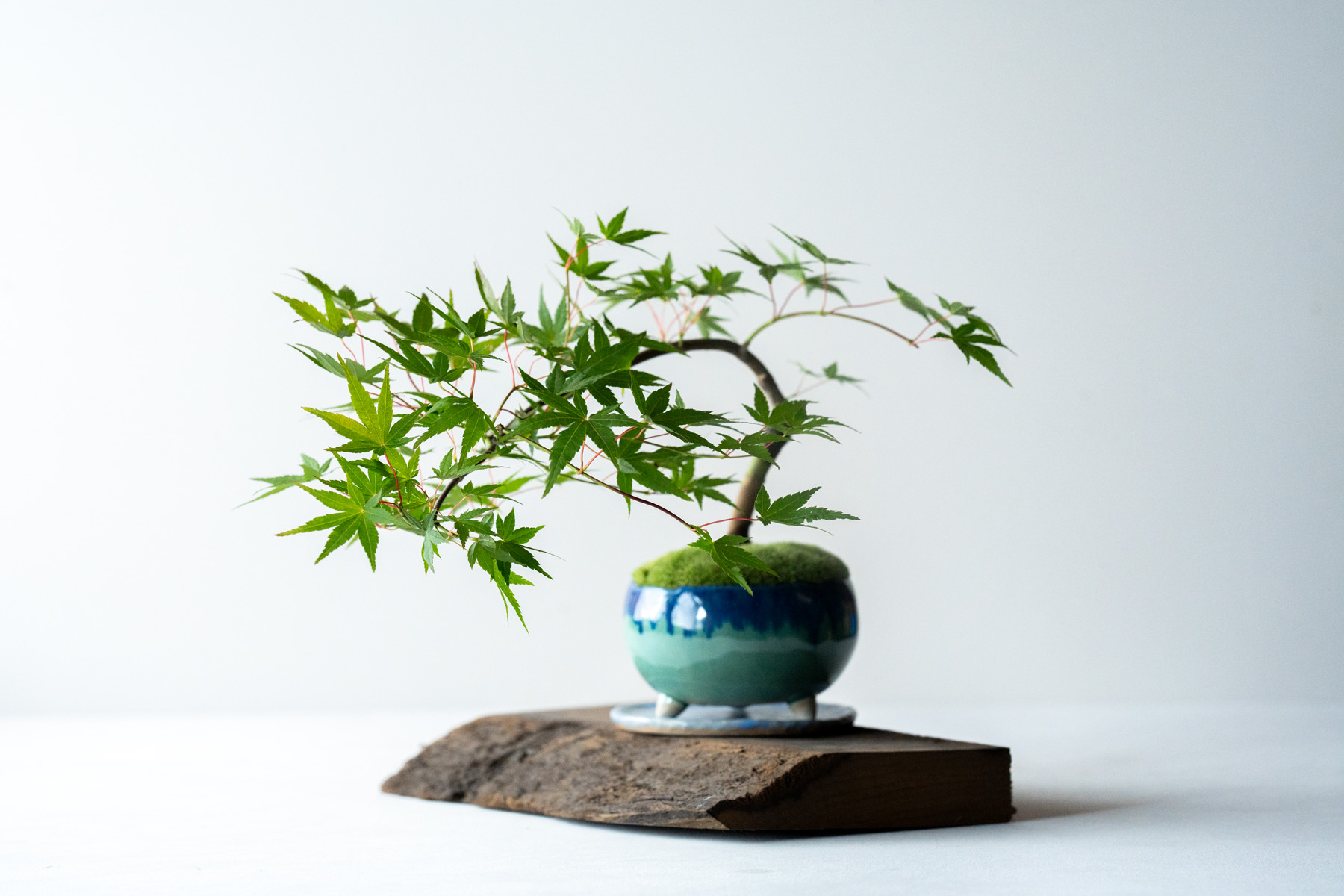 推薦給初學者